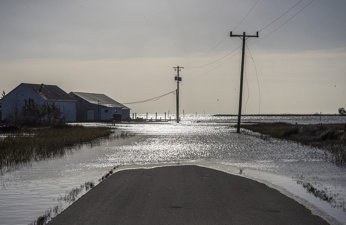 The waters of Styron Creek in Sea Level cover Cedar Creek Road in November 2022. Photo: Dylan Ray